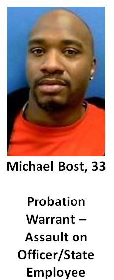 Michael Bost